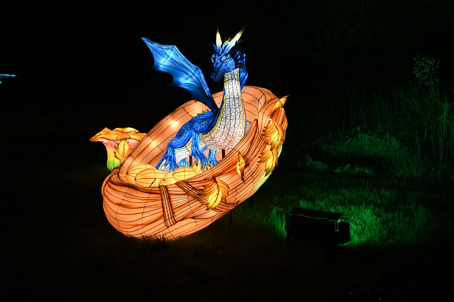 l odyssé lumineuse au vallon de stangalard ( 2026 )